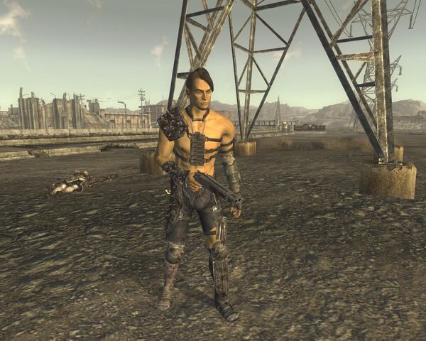 File:FalloutNV 2011-07-26 19-30-19-56.jpg
