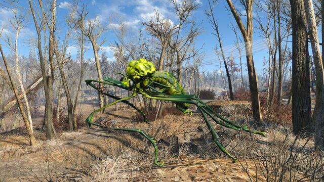 File:FO4 Infected bloodbug.jpg