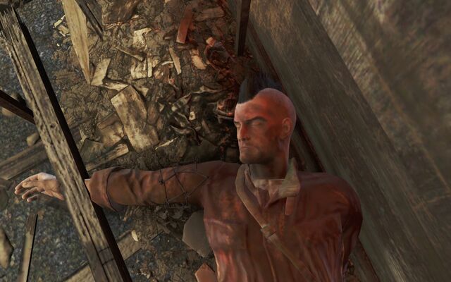 File:Fo4 character Blackbird.jpg