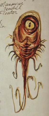 File:ManowarTendrilFloaterCA.jpg