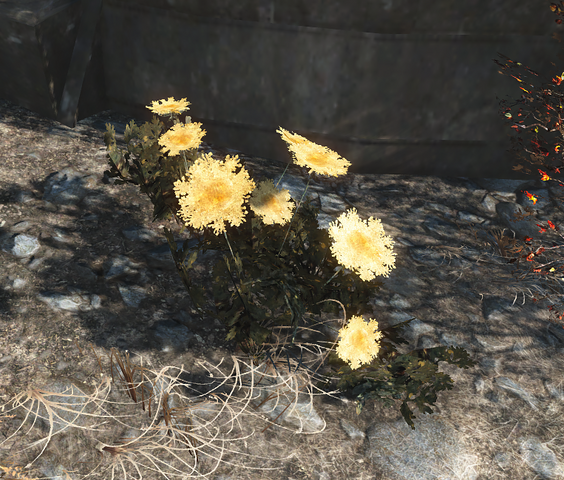 File:FO4 Mutated carrots.png