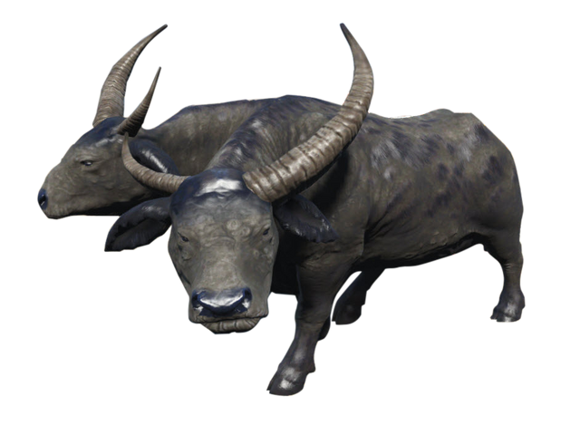 File:BrahmiluffLonghorn-NukaWorld.png