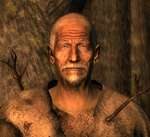 File:FO3 Birch w hood.png