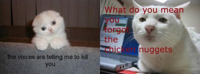 File:LOLOLOLOL.jpg