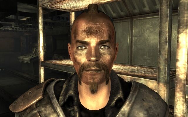 File:FO3AWMMercenary.jpg