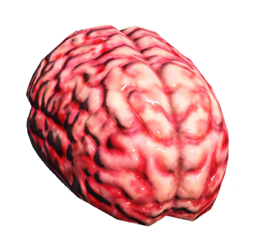 File:Fo4 brain.png