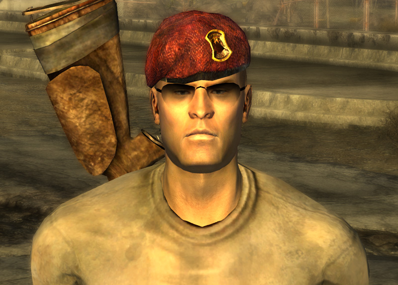 fnv upgrades from the commonwealth fnv upgrades from the commonwealth