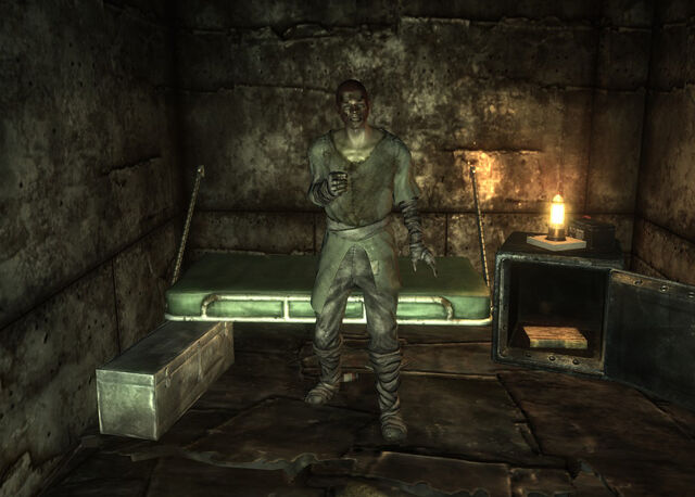 File:Wasteland recluse alive Bug.jpg
