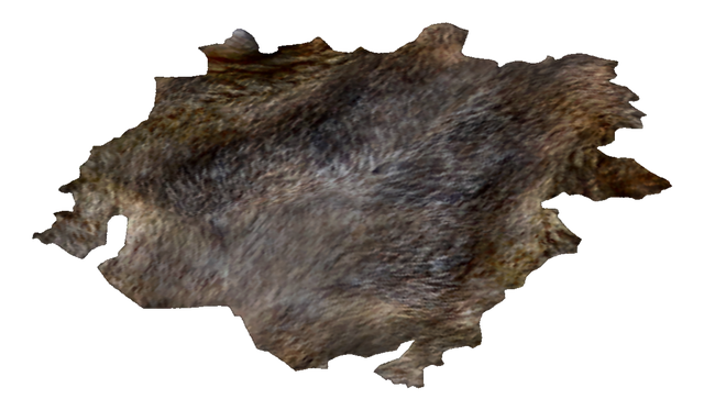 File:CoyoteHideProper.png