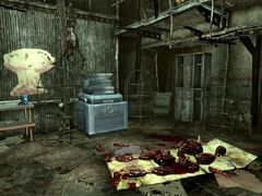 Raider Theme downstairs.jpg