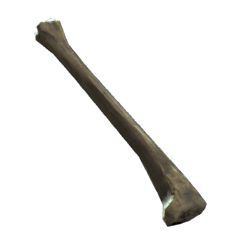 File:Tibia.png