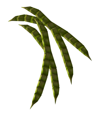 File:HoneyMesquitePod-nobg.png