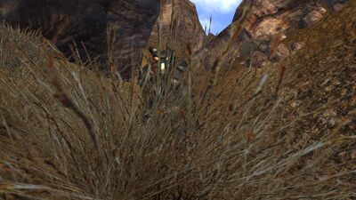 Eavesdropping
