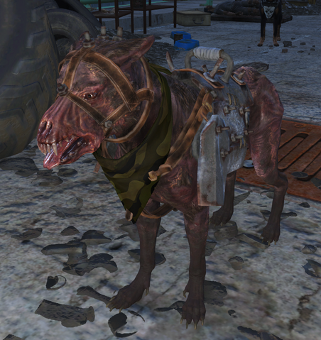 File:Alissa dog.png