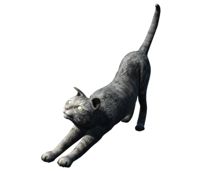 File:FO4 House Cat.png