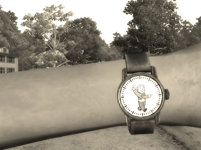 File:Vault Boy Watch.png