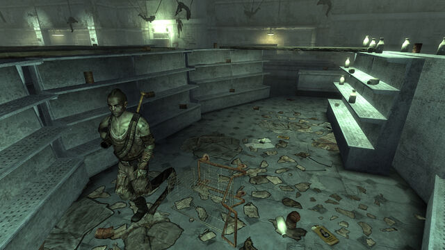 File:FO3 Super-Duper Mart (5).jpg