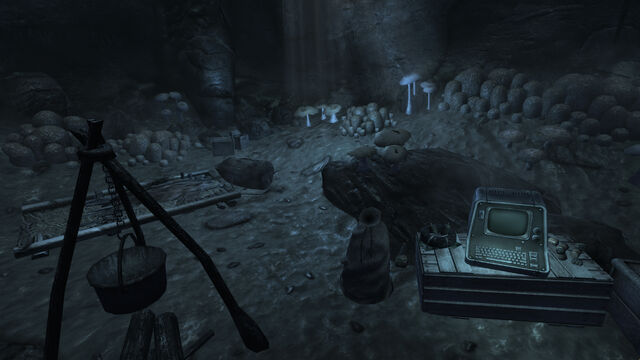 File:Survivalist hidden cache Fallen Rock cave.jpg