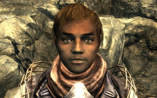 File:FO3Slaver3.jpg