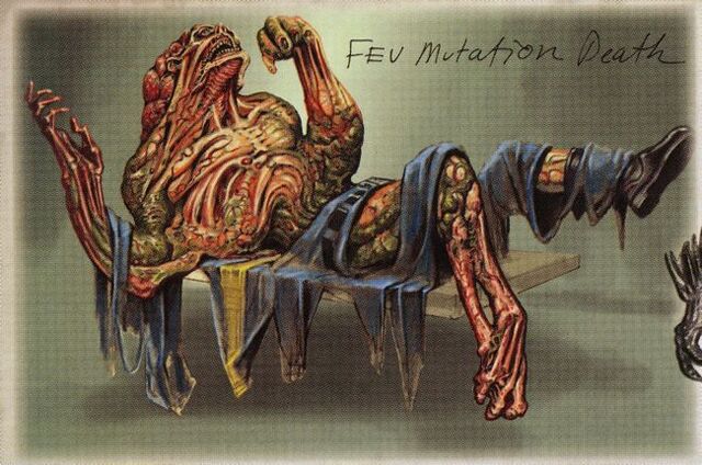 File:FEVCA.jpg