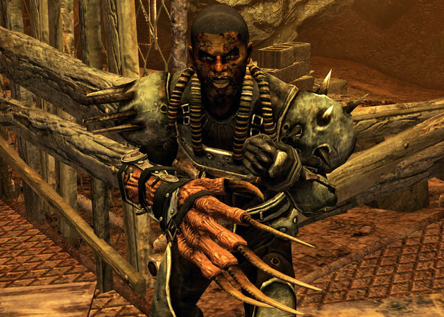 File:John Bear.jpg