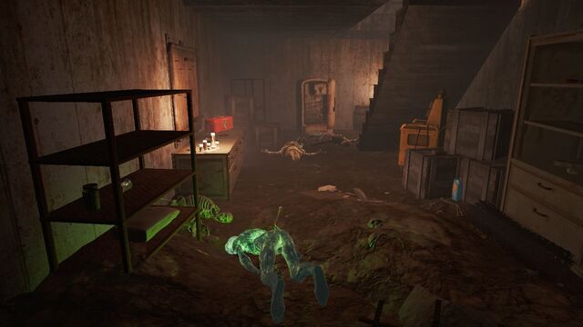 File:Old Gullet Sinkhole basement.jpg