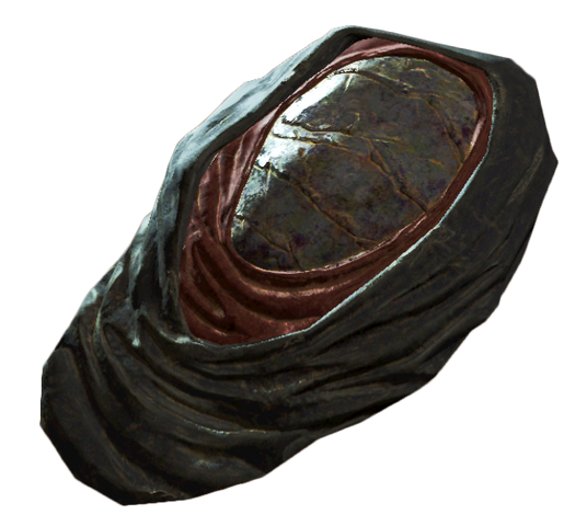 File:FO4 NW DisciplesHeadCovering.png