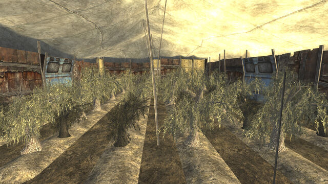 File:Greenhouse interior.jpg