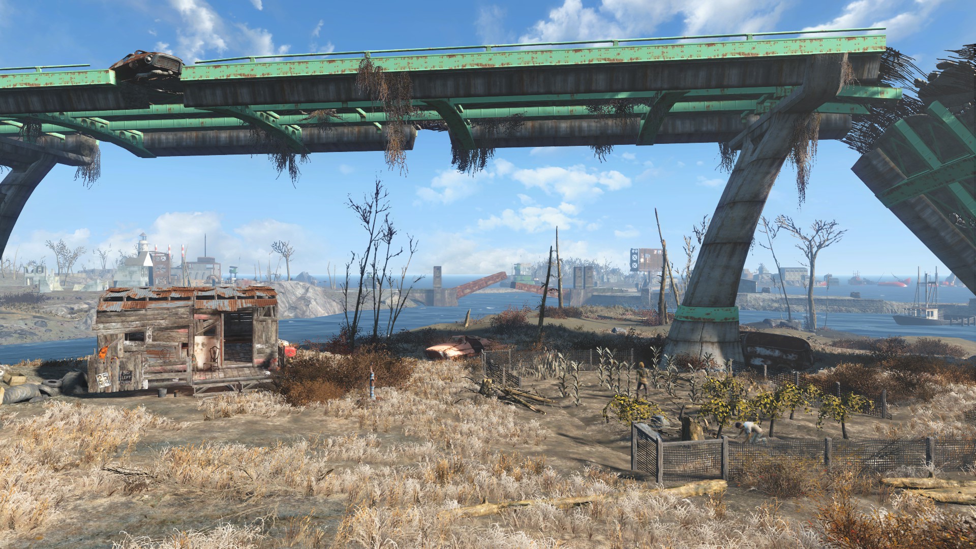 the finch farm the finch farm