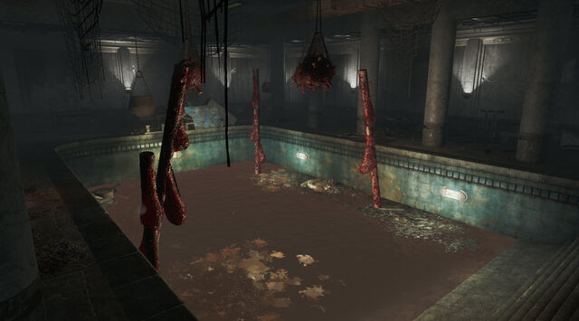 File:FO4FH-Aldersea-Pool.jpeg