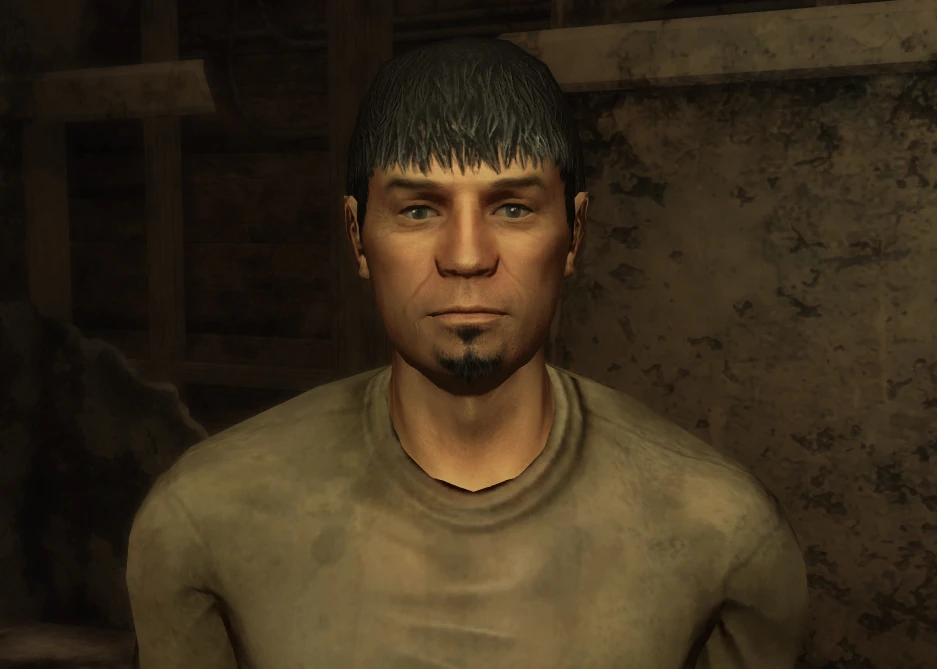 New vegas логан