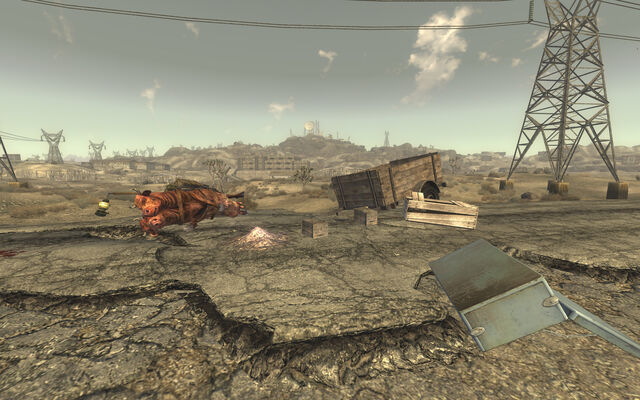 File:Cassidy Caravans Wreckage.jpg