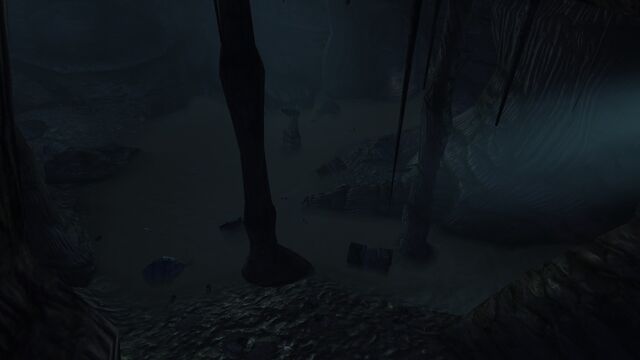File:Damp cave2.jpg