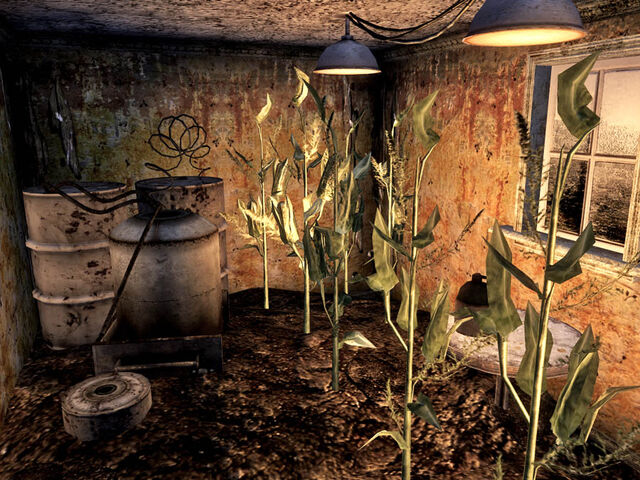 File:Mojave home interior.jpg