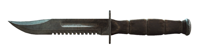 File:FO4 Serrated combat knife.png