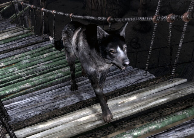 File:LL Bandit.jpg