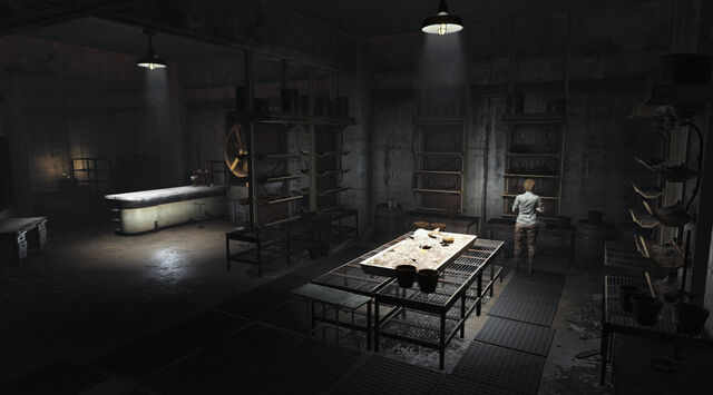File:AcadiaDoctor-FarHarbor.jpg