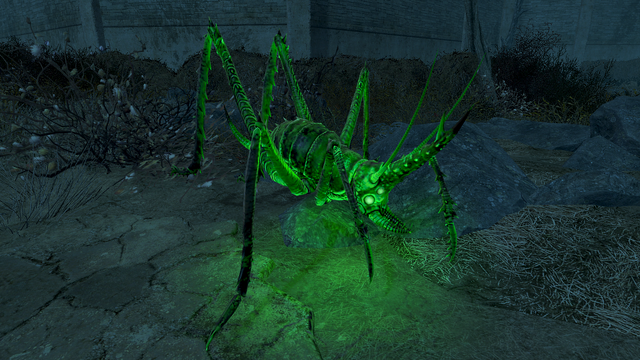 File:Glowing cave cricket.png