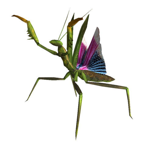 File:Giant mantis nypmh.png