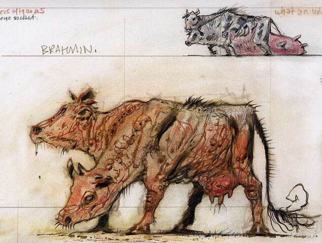 File:BrahminCA7.jpg