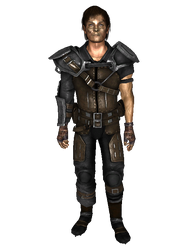 File:FONVVertibirdPilot.png