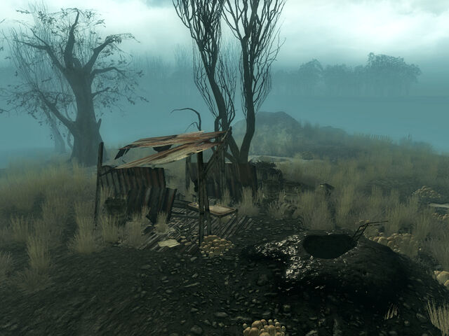 File:Excavated muck hole 3.jpg