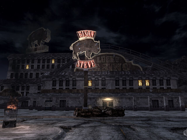 File:Bison Steve at night.jpg