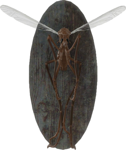 File:FO4-Mounted-bloodbug.png