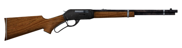 File:TrailCarbineCustome.png