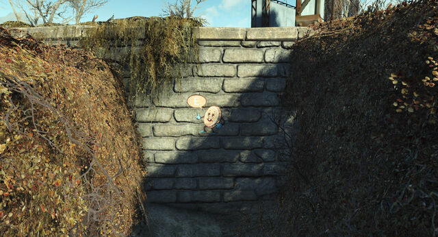 File:CappyClue-Cappy'sTreehouse-NukaWorld.jpg