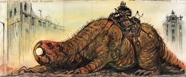 File:GiantMoleratCA1.jpg