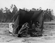 Typicalslavehome