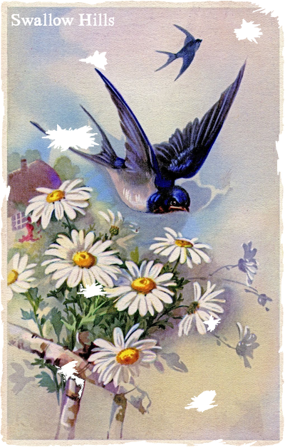 Swallow Hills Flag