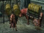Riddler's Park Water Brahmin